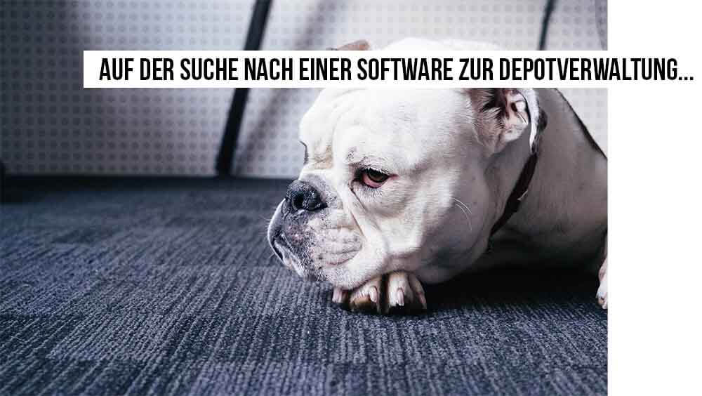Auf der Suche nach Antworten...